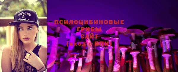 ECSTASY Переславль-Залесский