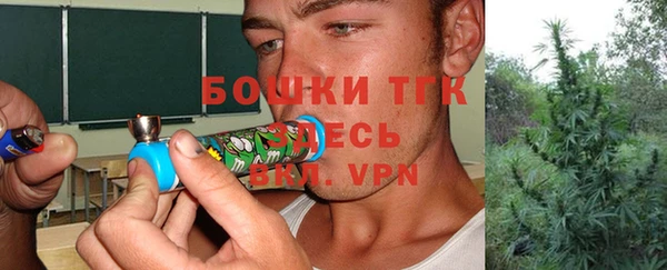jwh Пересвет