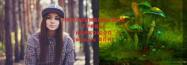прущая мука Остров